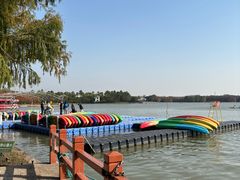 -上海海湾国家森林公园