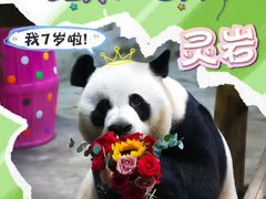 -栾川竹海野生动物园