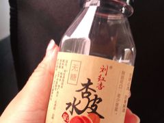 -刘红杏·杏皮水店(月牙泉小镇店)