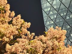 -国贸中心·国贸大厦三期