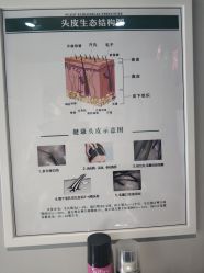 -凌氏生发养发馆