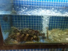 -碧海银沙海鲜餐厅(恒大海上威尼斯店)