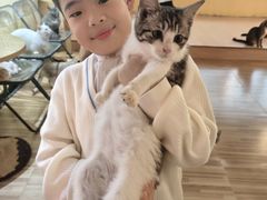 -喵小馆·猫咖狗咖猪咖·饮品店