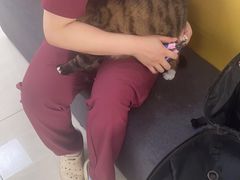 -美联众合动物医院·24h京西诊疗中心