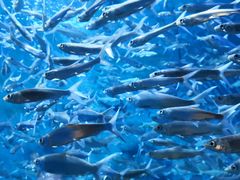 -成都浩海立方海洋公园