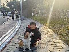 -半岛宠物医院24小时(科华中路店)