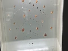 -青岛贝壳博物馆