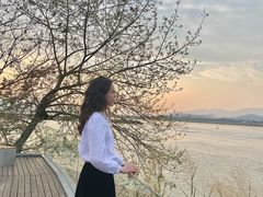 -福建鲤鱼洲酒店