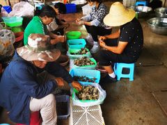 -双喜农庄·菌香园(安居家园店)