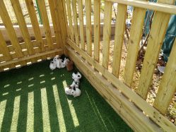 -萌宠亲子动物乐园(槐房万达店)