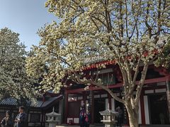 -大慈恩寺(大雁塔)