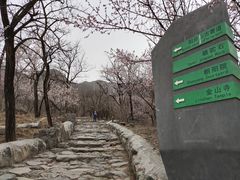 -妙峰山风景名胜区