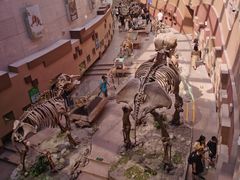 -陕西自然博物馆