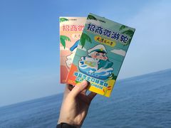 -招商蛇口邮轮母港(观光客运)