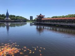 -南戴河国际娱乐中心