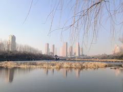 -前关湿地公园