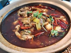 牛蛙砂锅（肥肠需另加）-马头巷·食景园(苏州总店)