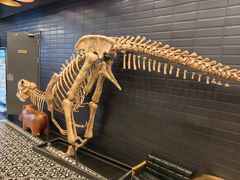 -FAIRYLAND龙族星球主题餐厅(凯丹广场店)