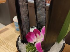 -淼福猪肚鸡·椰子鸡火锅(大沙地店)