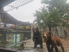 -灵玲国际马戏城