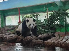 -广州动物园