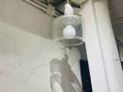 -田记宫廷奶酪