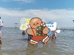 -碧海金沙
