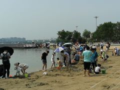 -武清南湖绿博园