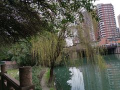 -成都市活水公园