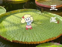 -国家植物园南园