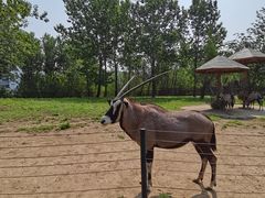 -大连森林动物园