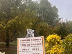 -青藏高原野生动物园
