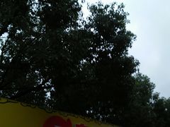 -夸父炸串(青浦奥特莱斯店)