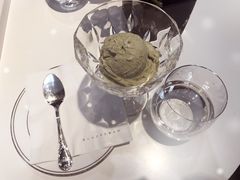 -BLACKSWAN黑天鹅(环球店)
