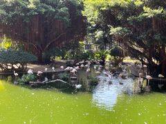 -九龙公园