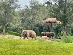 -北京野生动物园