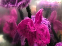 -X88商场(铜仁路店)