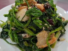 菠菜拌毛蚶-山海关清和浑锅店