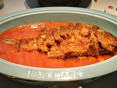 -阿五黄河大鲤鱼(英协路店)