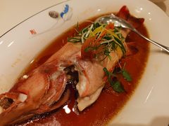 清蒸青斑鱼-宝燕壹号(长寿店)