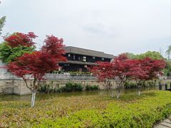 -观潮胜地公园