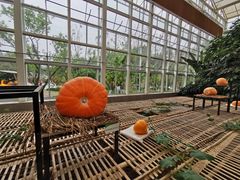 -黄龙溪欢乐田园