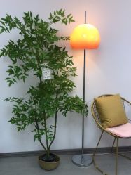 -变美丽半永久纹眉连锁·机器野生眉·洗眉