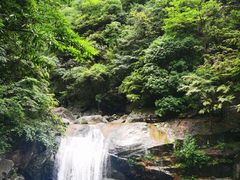 -大鄣山卧龙谷景区