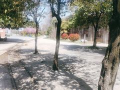 -冶山国家矿山公园