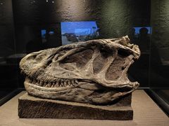 -自贡恐龙博物馆