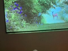 -璞禅足道(观音桥旗舰店)