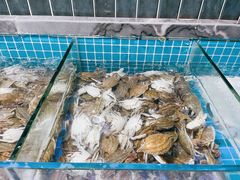 -海韵之星邮轮水会(明发商业广场店)