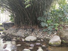 -温江公园