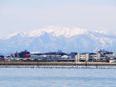 -松岛